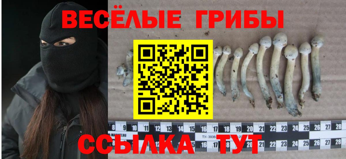 цены   Галлюциногенные грибы ЛСД  Вход с VPN  Боровичи 